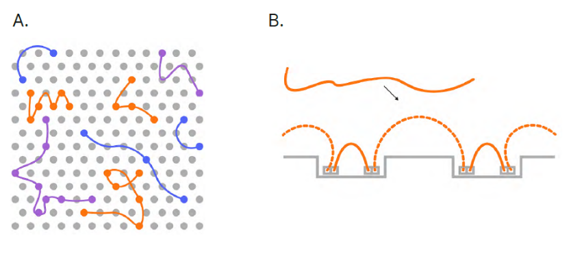 Proximity mapped read technology의 원리